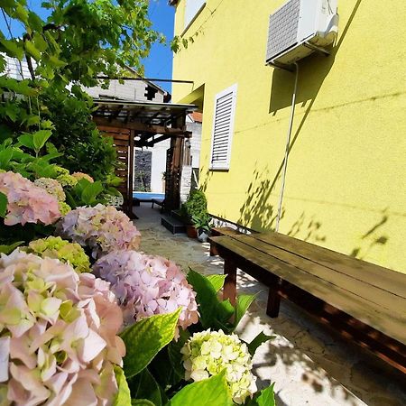 Apartment Rustica Zadar With Exclusive Use Of The Pool-Ground Floor Eksteriør billede