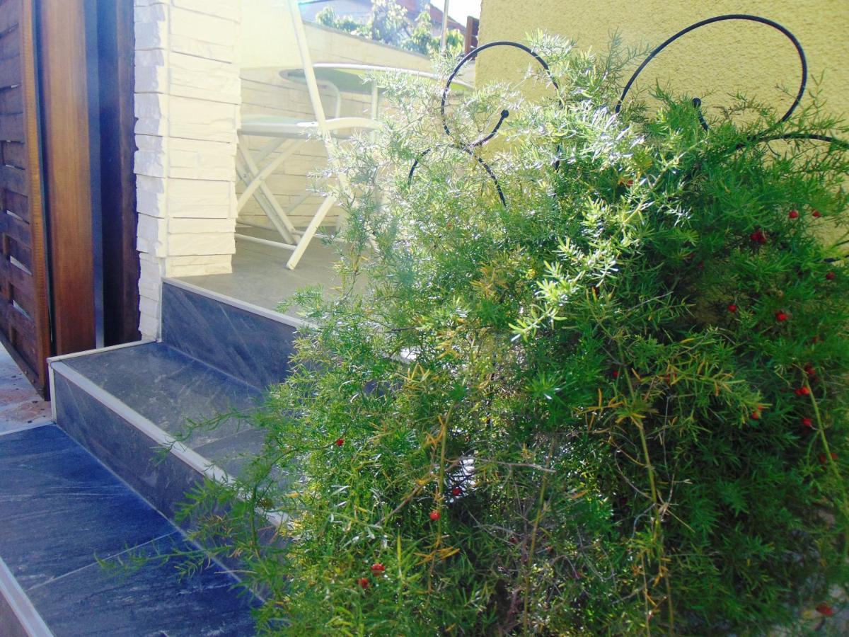 Apartment Rustica Zadar With Exclusive Use Of The Pool-Ground Floor Eksteriør billede